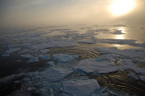 Симс 3 медицина исследования